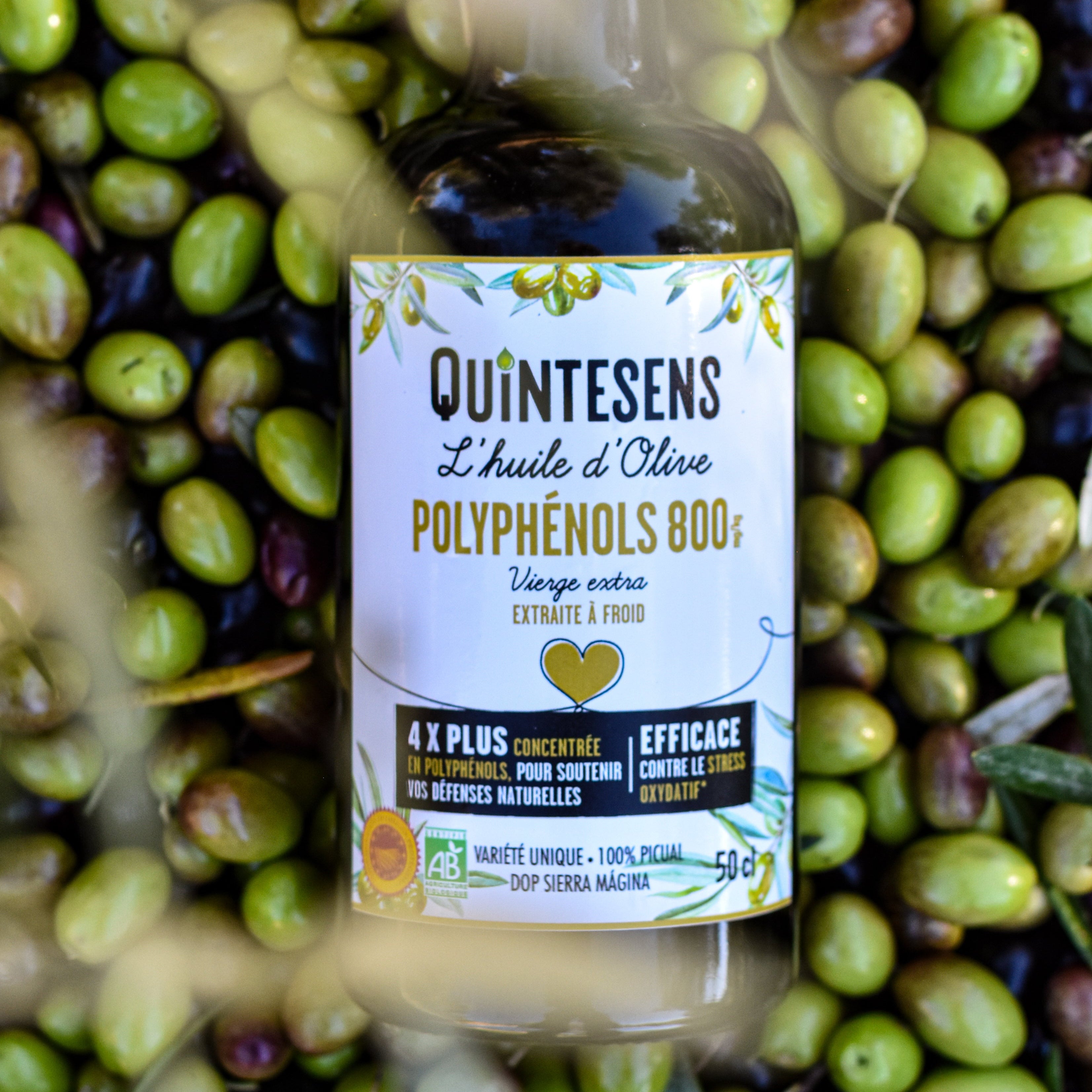 Quintesens Polyphénols 800 olio oliva bio polifenoli