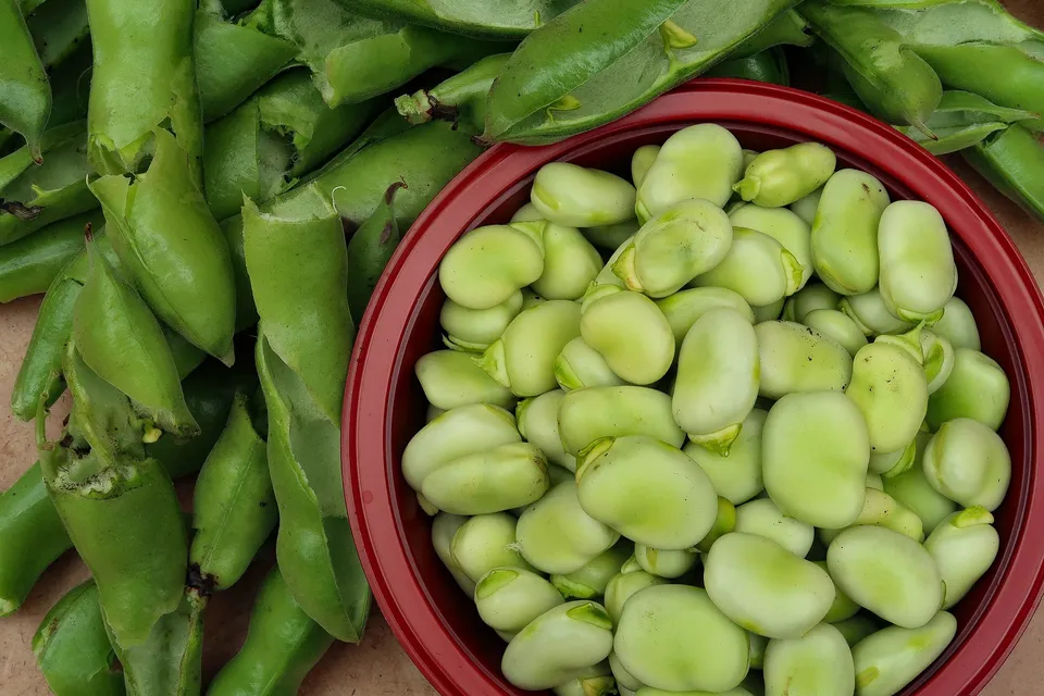 La Boccea Fave Aguadulce Supersimonia Bio Fresche