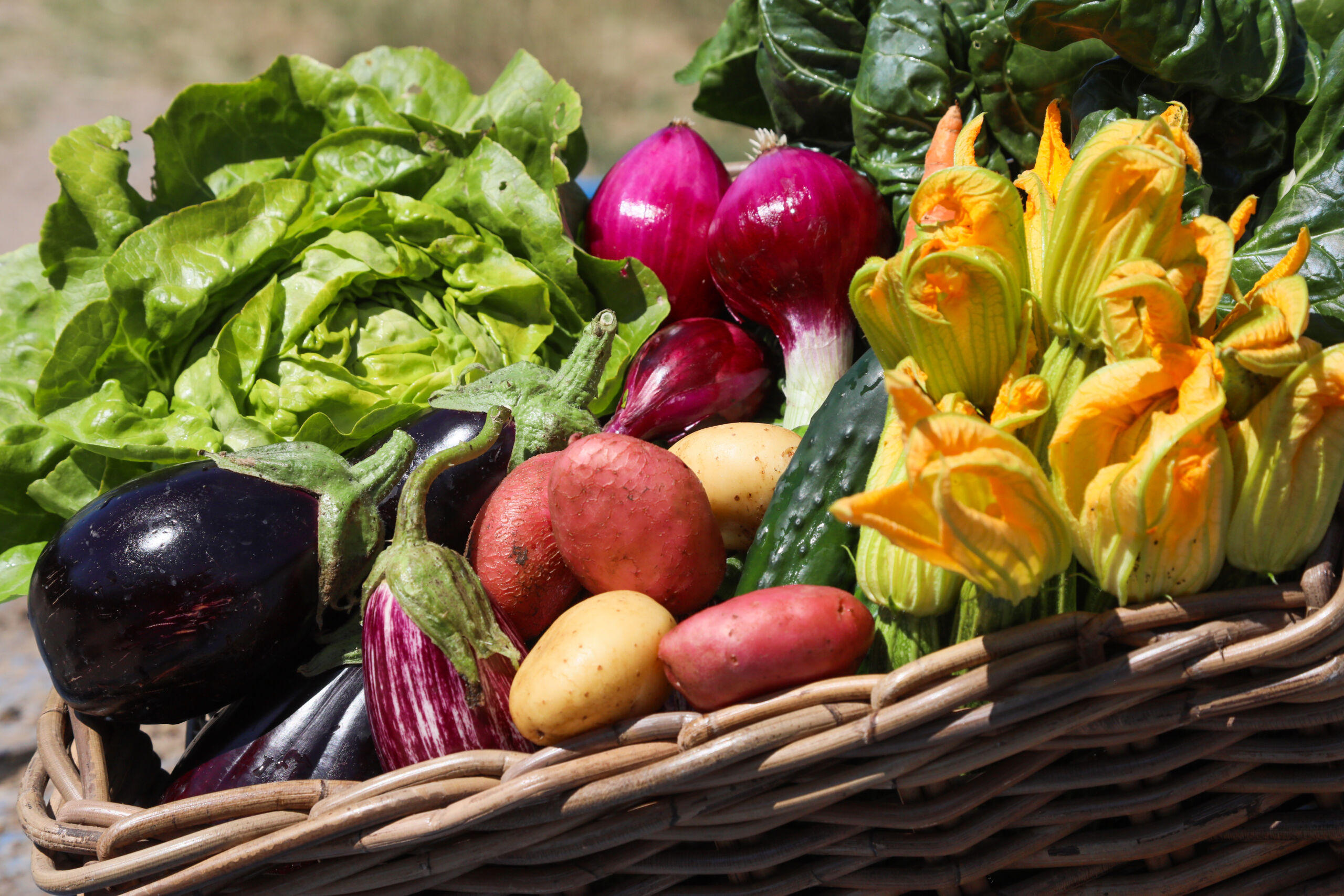 La Boccea verdure miste bio cassetta 3 kg di stagione