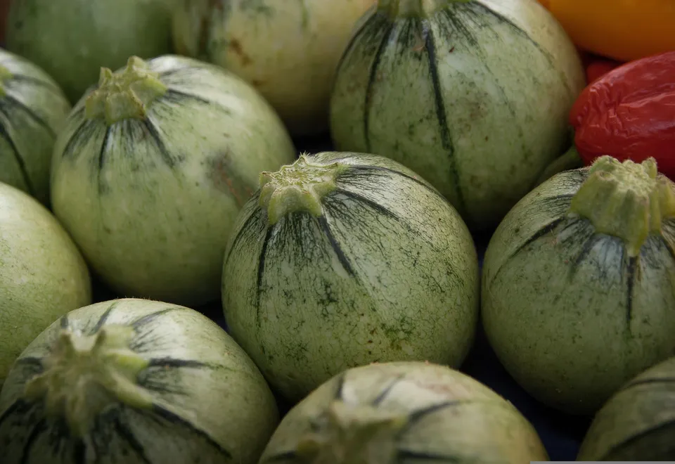 La Boccea Zucchina Tonda Bio zucchine da ripieno al forno