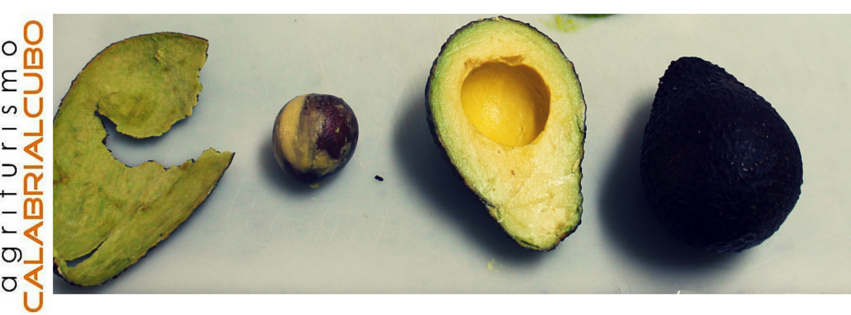 Calabrialcubo Avocado Hass bio al kg da maturare