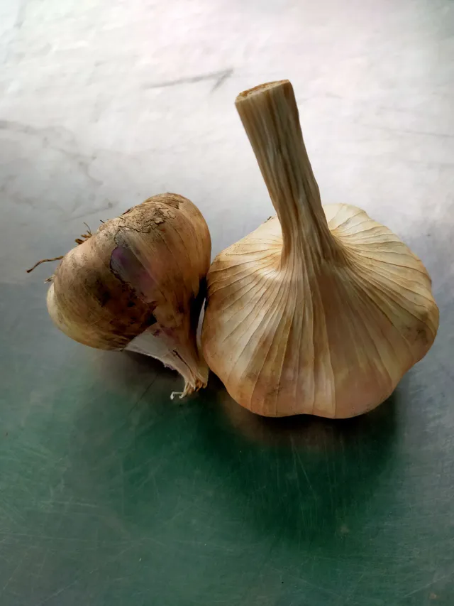 La Boccea Aglio Germidour Bio aglio fresco