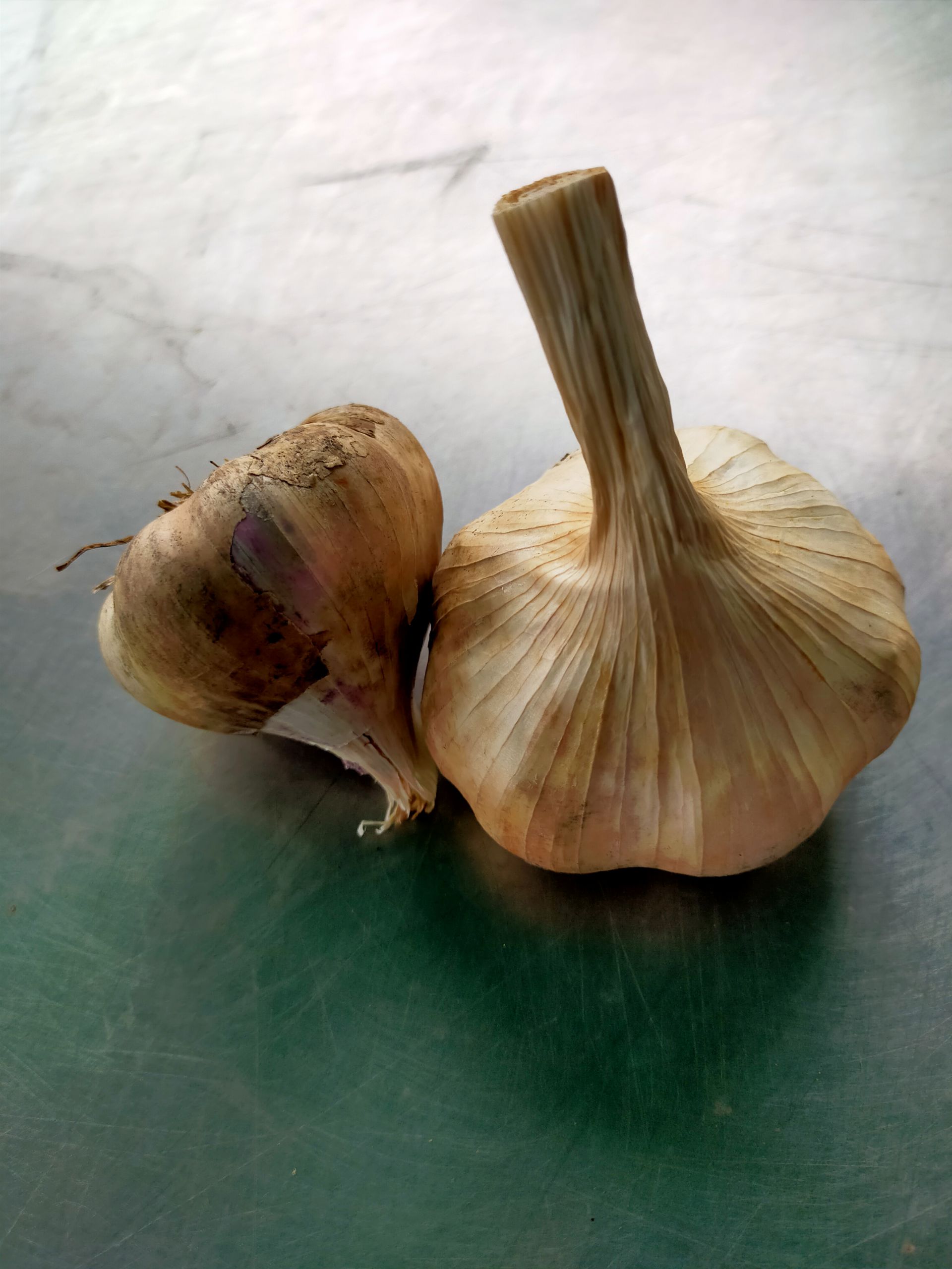 La Boccea Aglio Germidour Bio aglio fresco