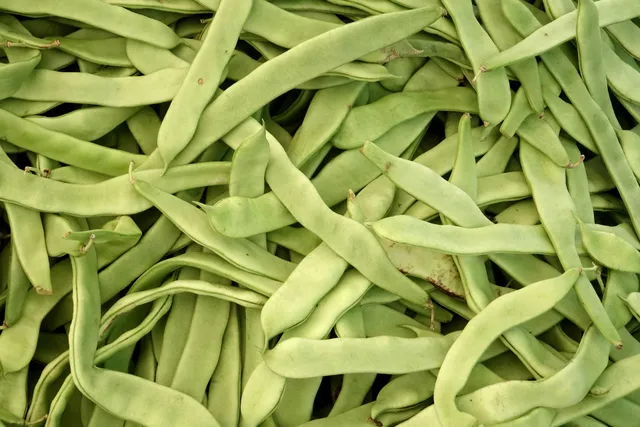 La Boccea Corallo Rampicante fagioli freschi bio diuretici