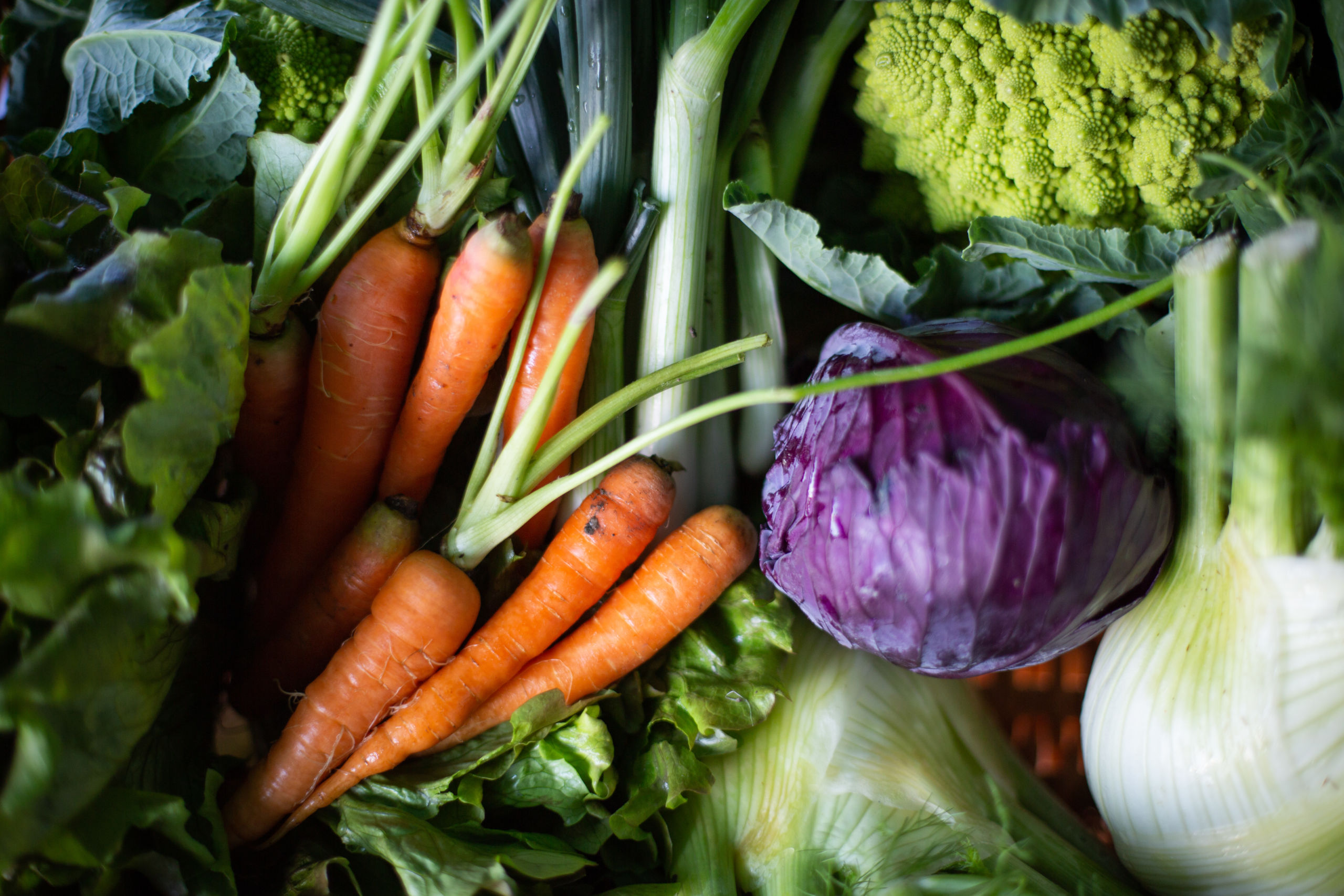 La Boccea verdure miste bio cassetta 3 kg di stagione