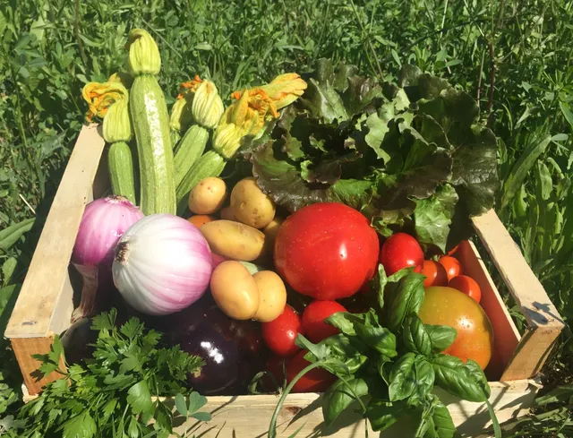 La Boccea verdure miste bio cassetta 3 kg di stagione