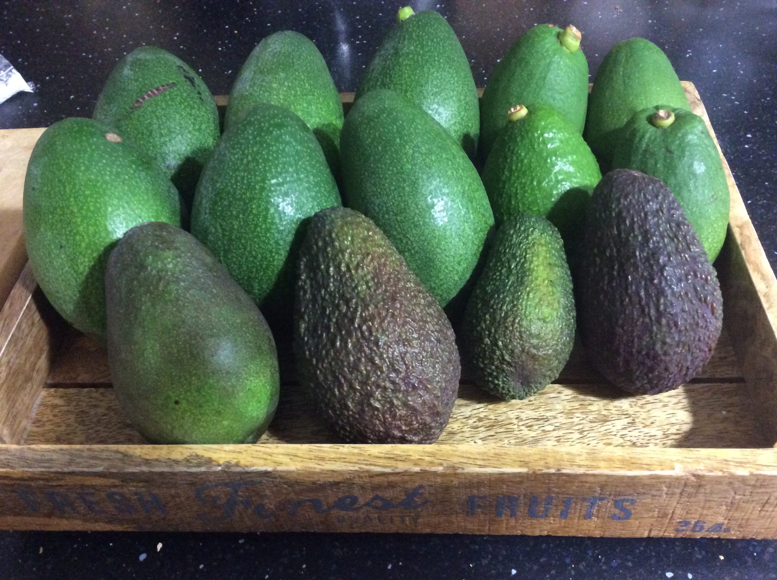 Calabrialcubo Avocado Hass bio al kg da maturare
