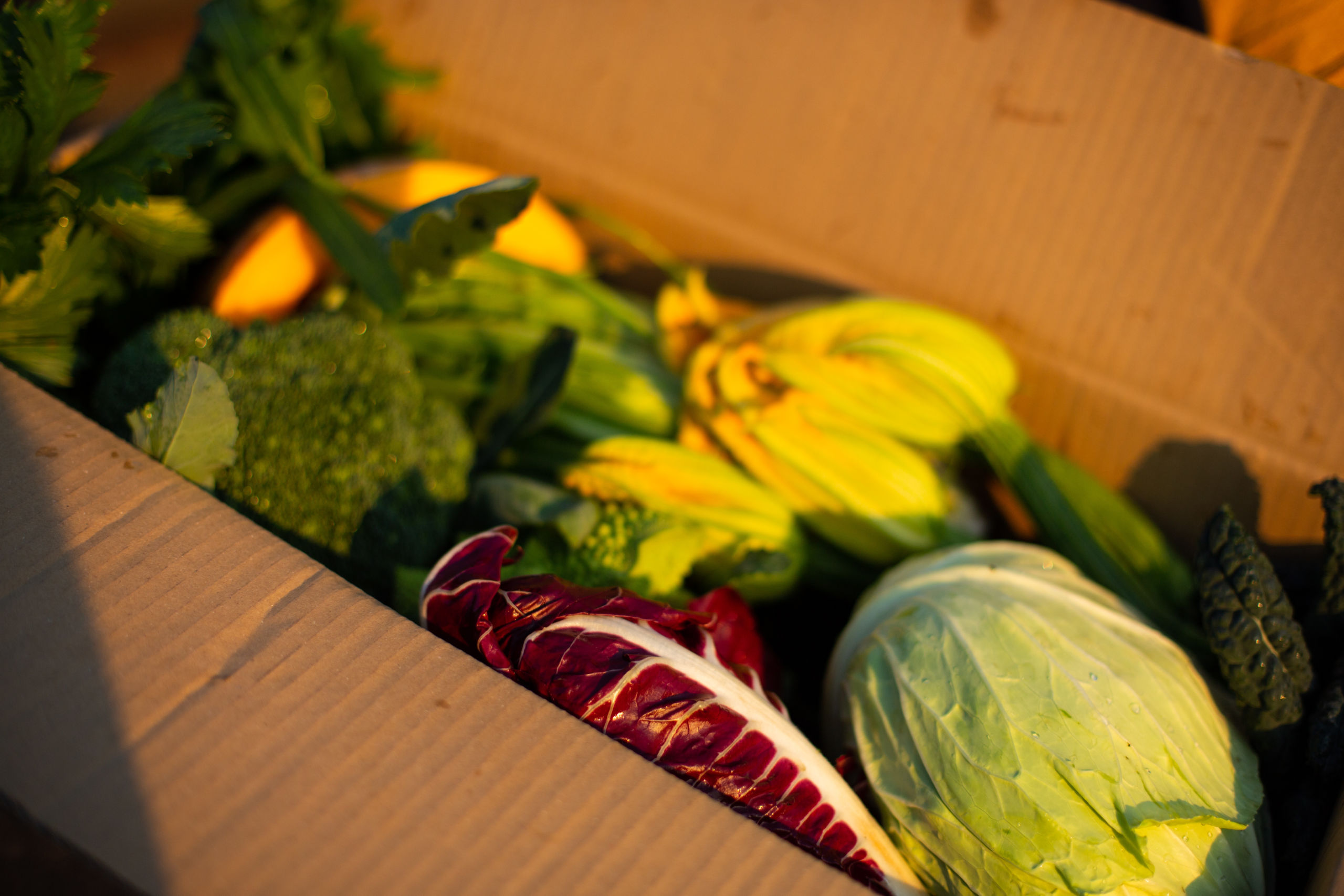 La Boccea verdure miste bio cassetta 3 kg di stagione