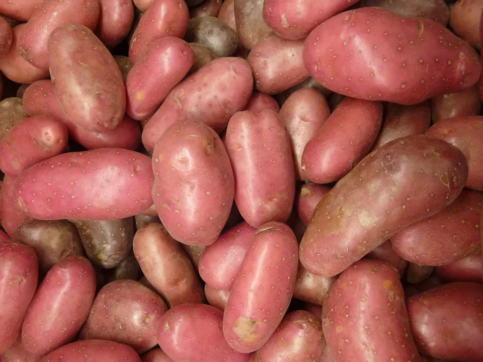La Boccea Desiree patate rosse bio pasta soda