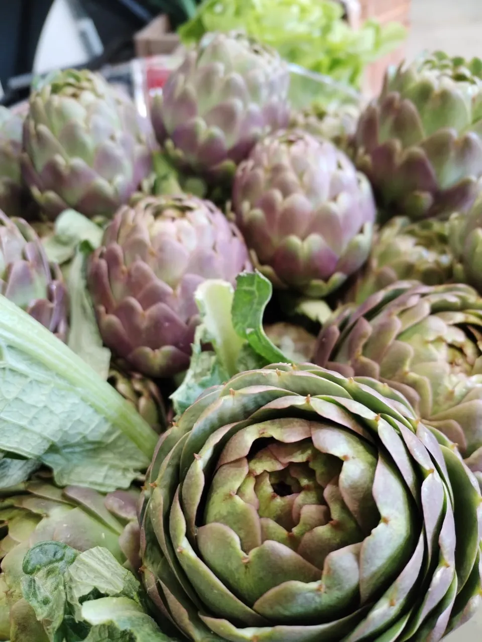 La Boccea Carciofo Bio fresco primaverile