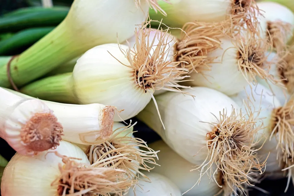 La Boccea Cipolla Bianca Bio ortaggio fresco