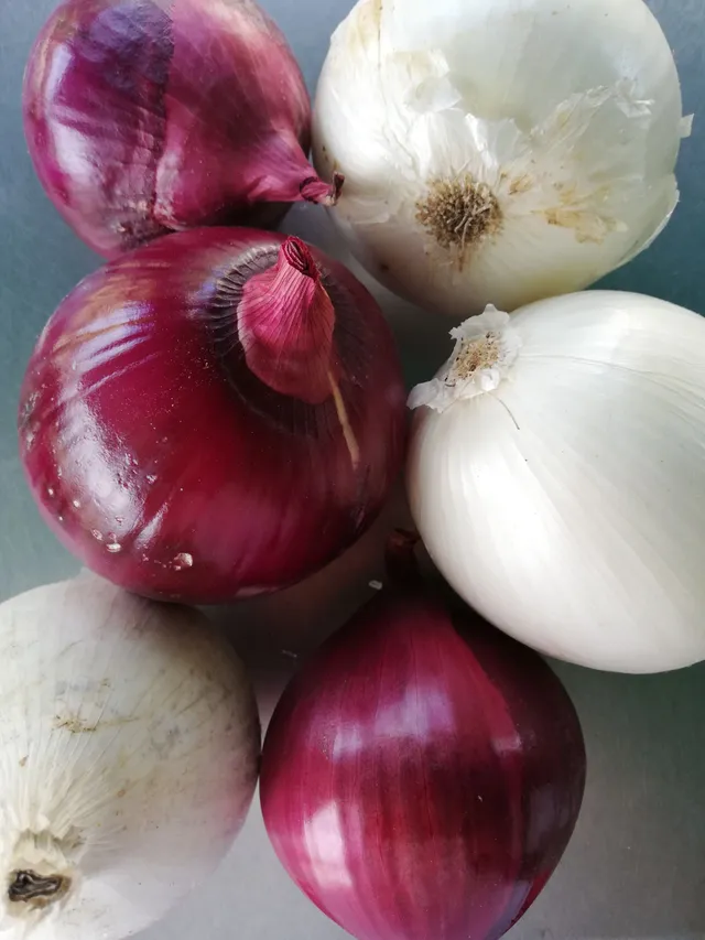 La Boccea Cipolla Tropeana Tonda Bio cipolle dolci miste