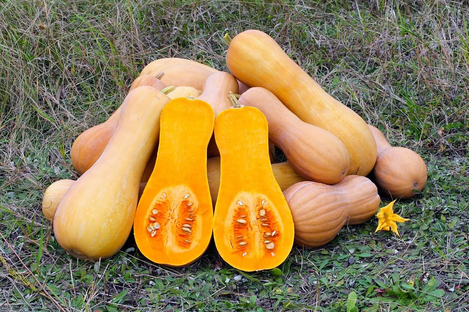 La Boccea Zucca Violina Bio 3 kg per Gnocchi