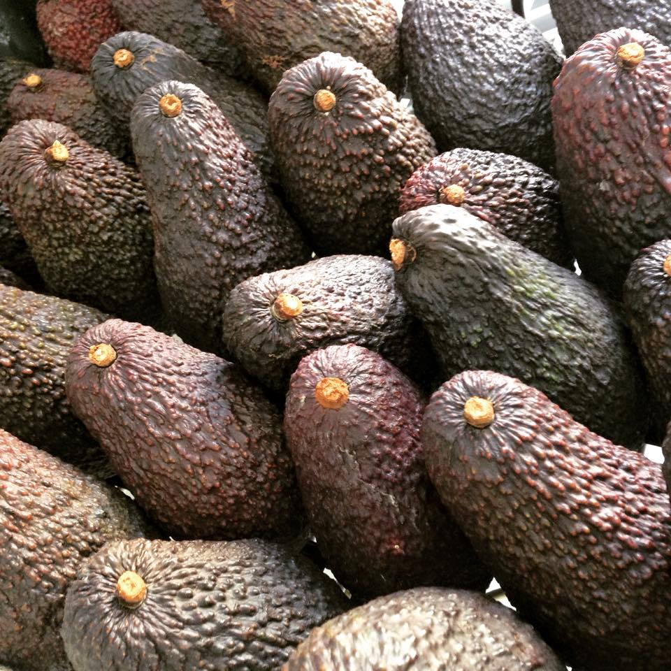 Calabrialcubo Avocado Hass bio al kg da maturare