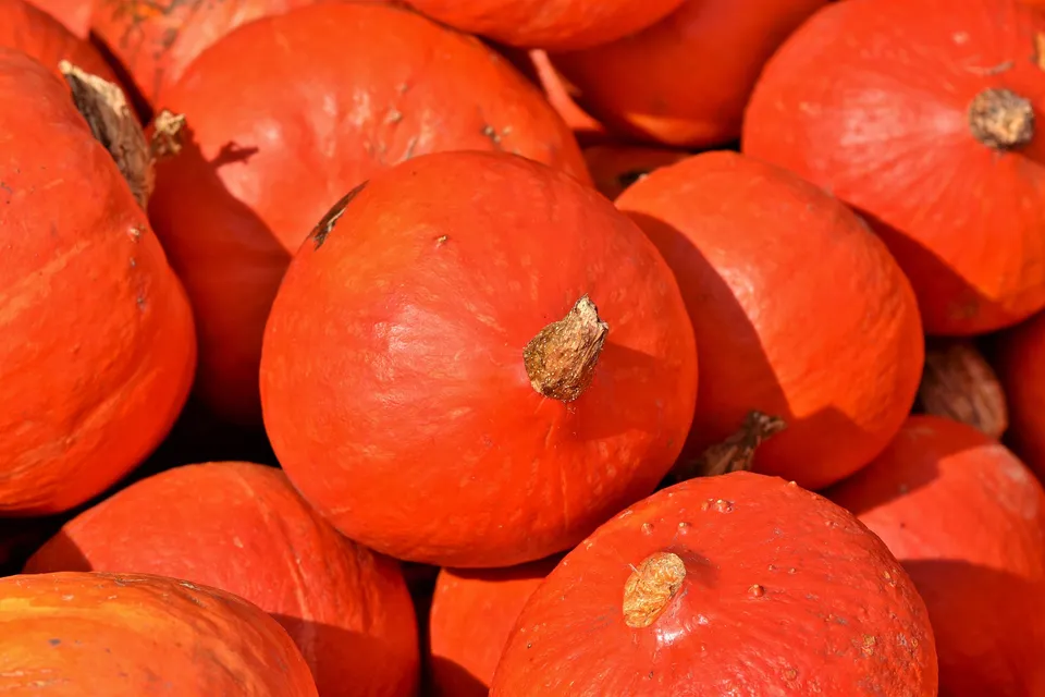 La Boccea Zucca Red Kuri Bio Intera 2 kg Dolce