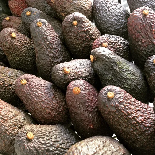 Calabrialcubo Avocado Hass bio al kg da maturare