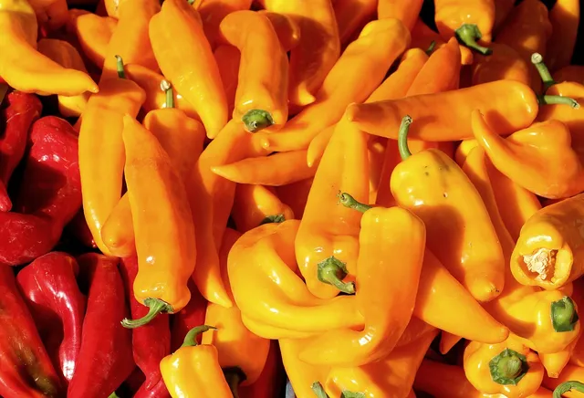 La Boccea Peperone Corno Rosso peperone bio dolce