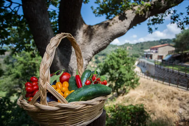 Calabrialcubo Welcome Box ospiti olio verdure latte