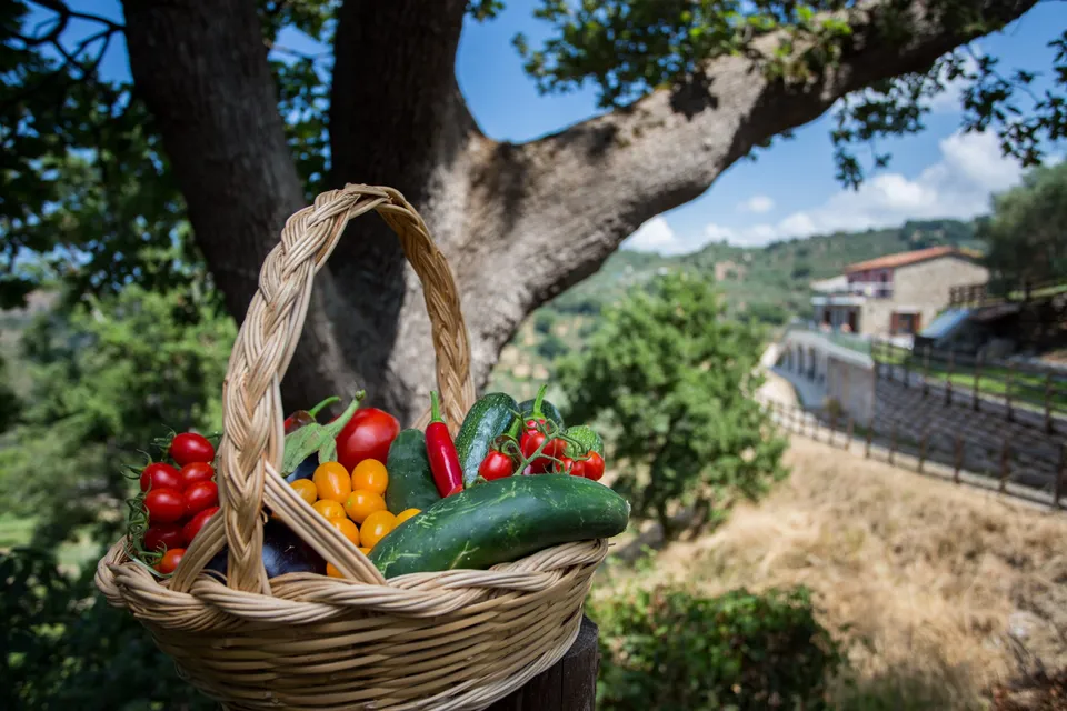 Calabrialcubo Welcome Box ospiti olio verdure latte