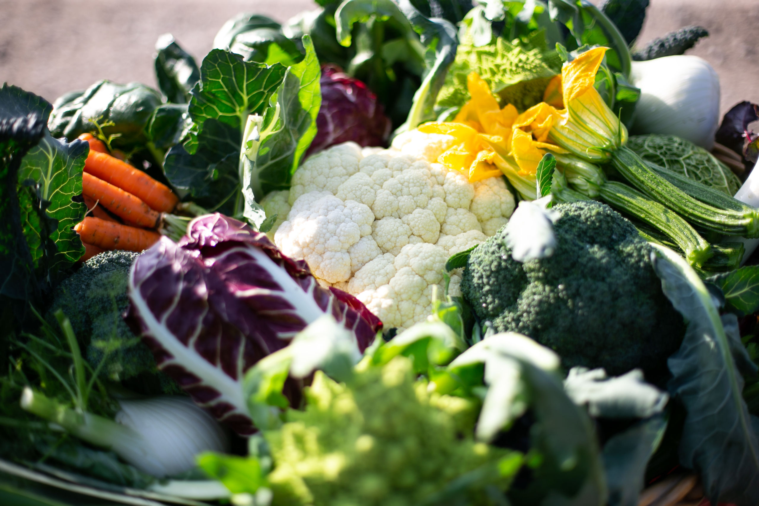 La Boccea Verdure Miste Bio Cassetta 5 Kg di Stagione