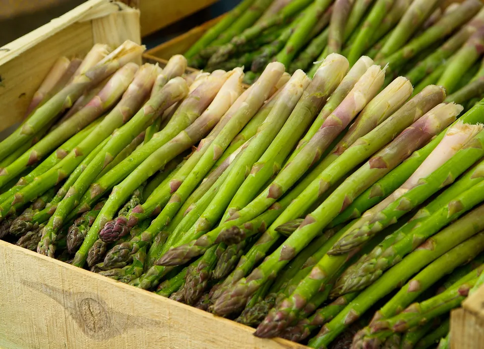 La Boccea Asparagi Bio Freschi da Lessare